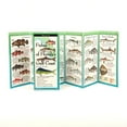 thumbnail image 1 of FoldingGuides: Fishes of the Florida's Gulf Coast (Other), 1 of 1