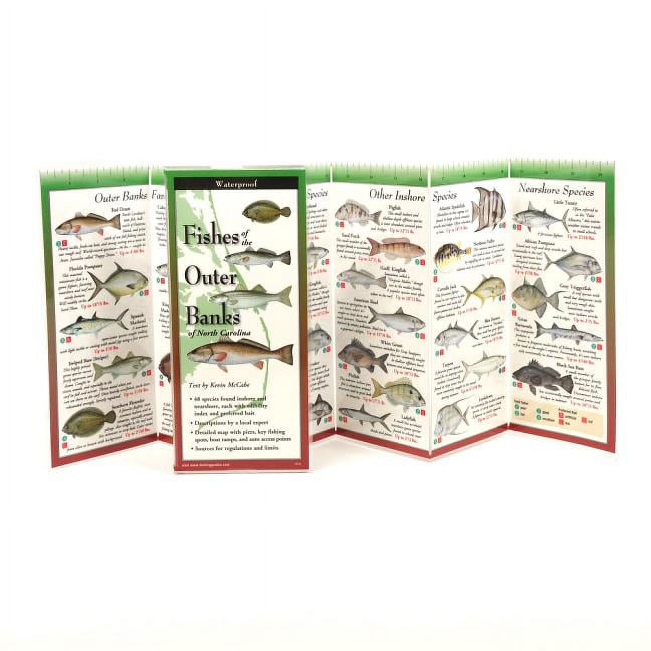 ROBERT SHIPP; DIANE PEEBLES FoldingGuides: Fishes of the Outer Banks of NC (Other)