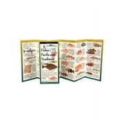 FoldingGuides Fishes of the Pacific Northwest Coast Other