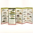 thumbnail image 1 of FoldingGuides: Freshwater Fishes of Texas (Other), 1 of 1