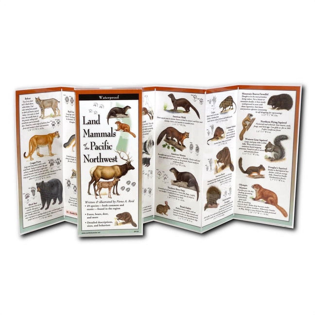 FoldingGuides: Land Mammals of the Pacific Northwest (Other) - Walmart.com
