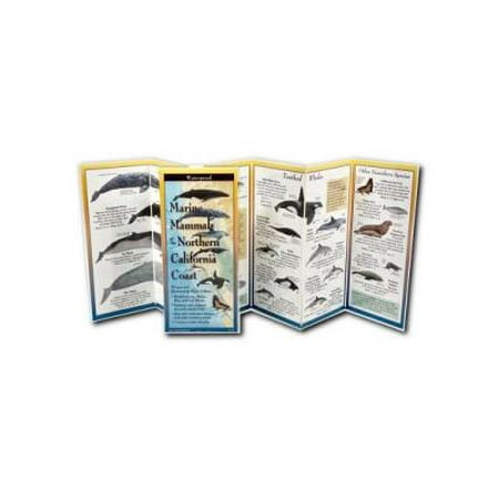 FoldingGuides: Marine Mammals of Northern & Central California (Other)