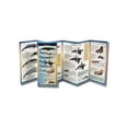 thumbnail image 1 of FoldingGuides: Marine Mammals of Pacific Northwest Coast (Other), 1 of 1