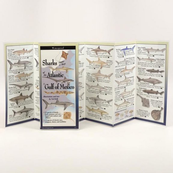 FoldingGuides: Sharks, Skates, & Rays of the Atl. & Gulf of Mex. (Other)