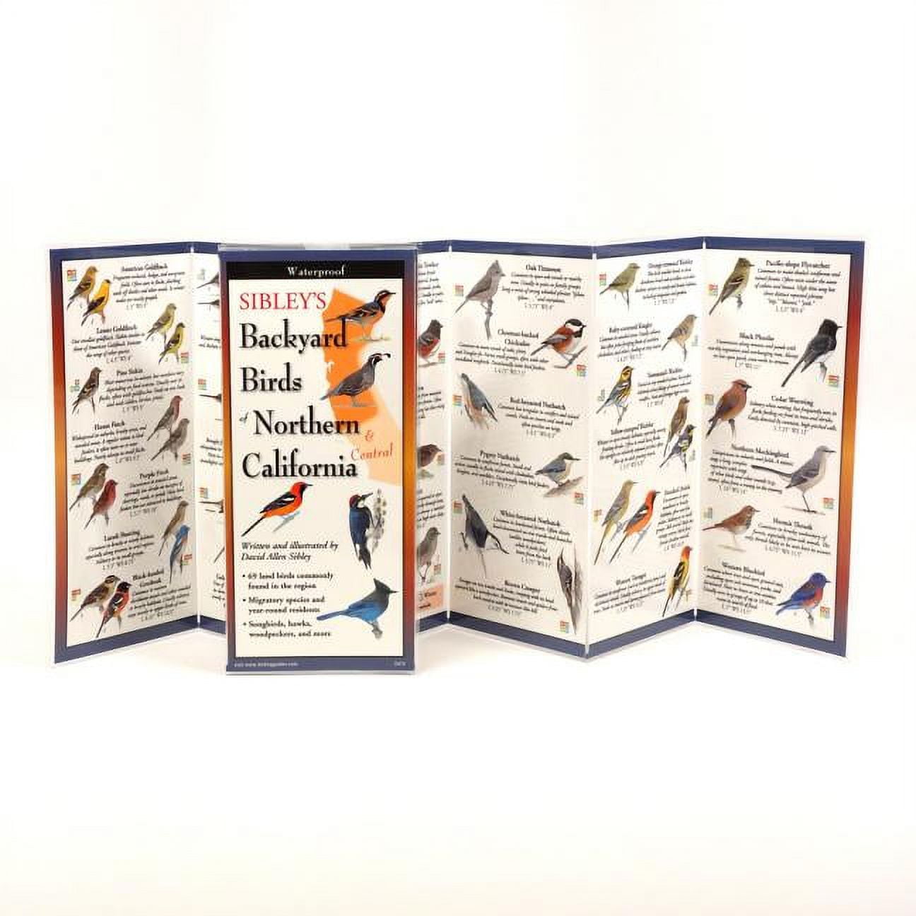 DAVID ALLEN SIBLEY FoldingGuides: Sibley's Back. Birds of Northern California (Other)