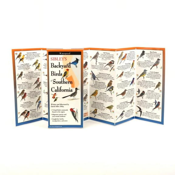 FoldingGuides: Sibley's Back. Birds of Southern California (Other)