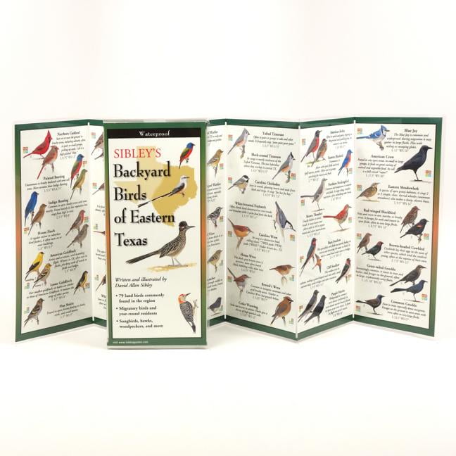 MR DAVID SIBLEY FoldingGuides: Sibley's Backyard Birds of Eastern Texas (Other)