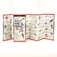 thumbnail image 1 of FoldingGuides: Sibley's Backyard Birds of the Midwest (Other), 1 of 1