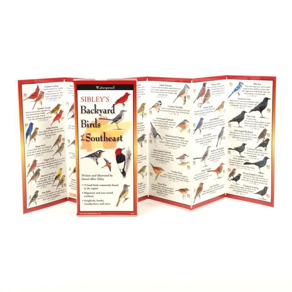 FoldingGuides: Sibley's Backyard Birds of the Southeast (Other)