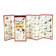 FoldingGuides Sibleys Backyard Birds of the Southeast Other