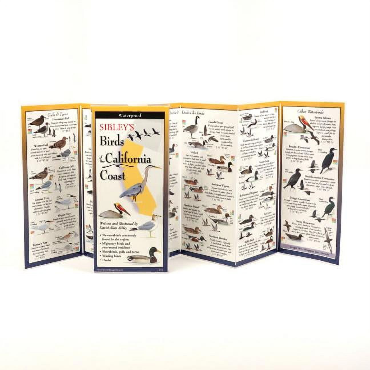 DAVID ALLEN SIBLEY FoldingGuides: Sibley's Birds of the California Coast (Other)