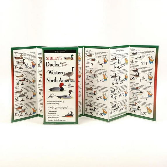 FoldingGuides: Sibley's Ducks, Geese,& Swans of Western N.A. (Other)