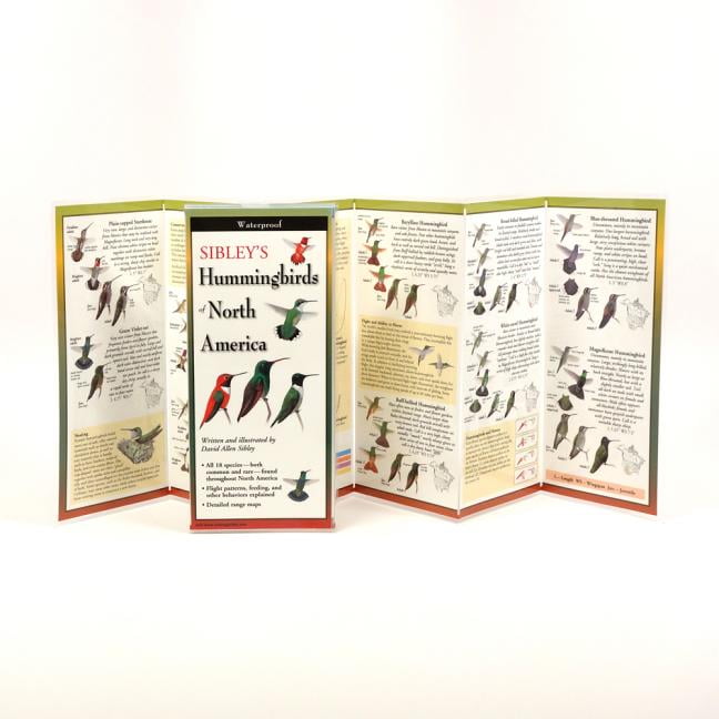 MR DAVID SIBLEY FoldingGuides: Sibley's Hummingbirds of North America (Other)