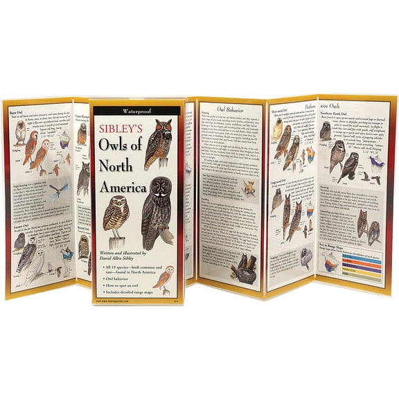 FoldingGuides: Sibley's Owls of North America (Other)