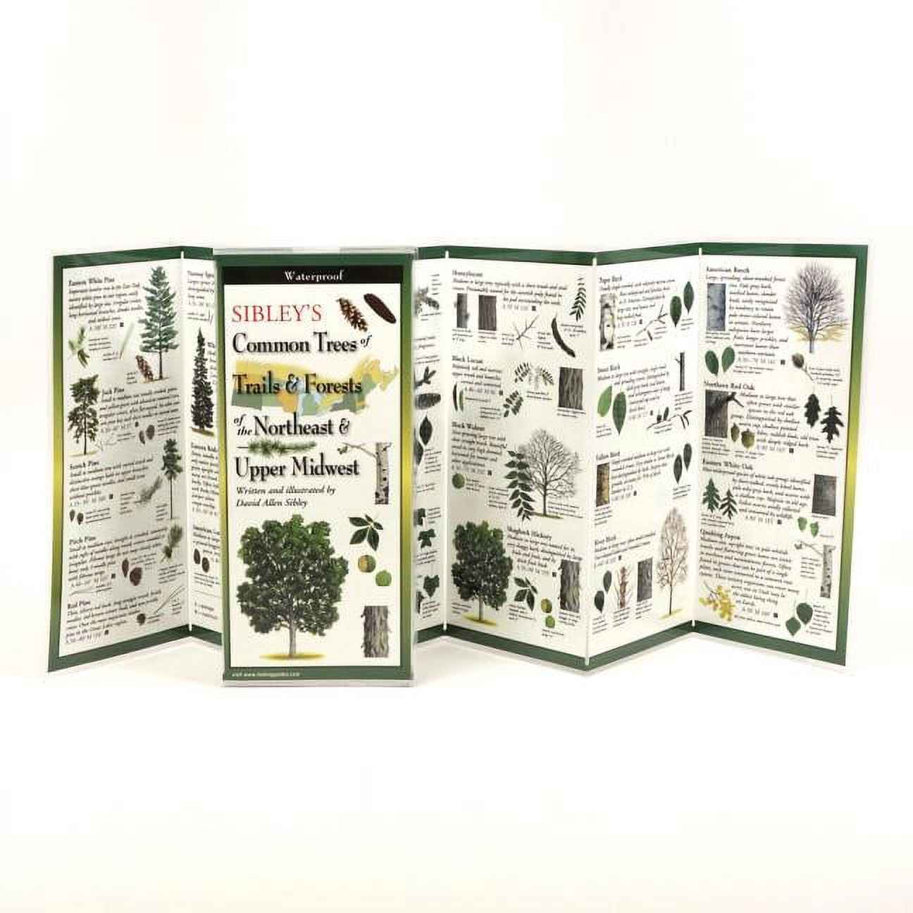 MR DAVID SIBLEY FoldingGuides: Sibley's Trees of Trails and Forests of the Northeast & Upper Midwest (Other)