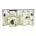 thumbnail image 1 of FoldingGuides: Sibley's Trees of Trails and Forests of the Southeast (Other), 1 of 1
