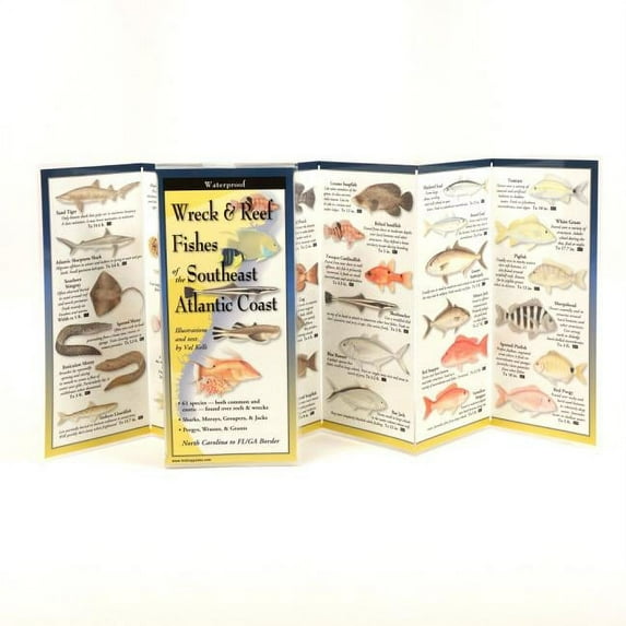 FoldingGuides: Wreck & Reef Fishes of the Se Atl. Cst. (Other)