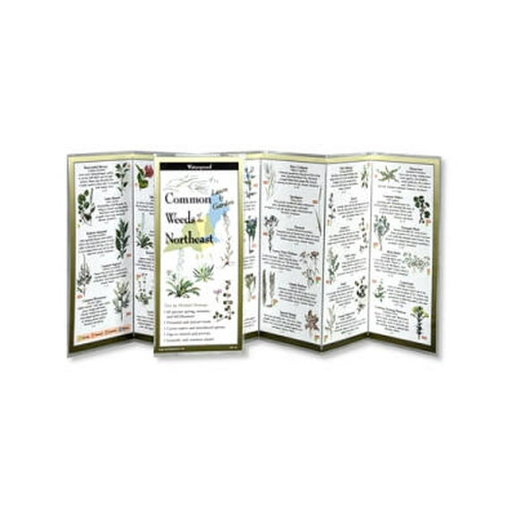 Foldingguides(tm): Common Weeds of the Northeast (Other)