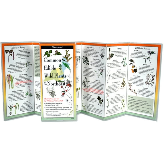 Foldingguides(tm): Edible Plants of the Northeast (Other)