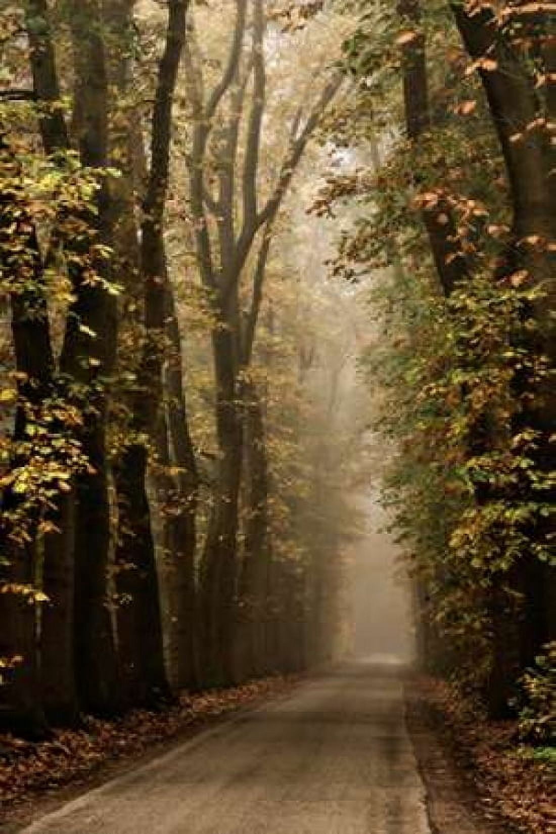 Folia Canvas Art - Lars Van de Goor (12 x 18)