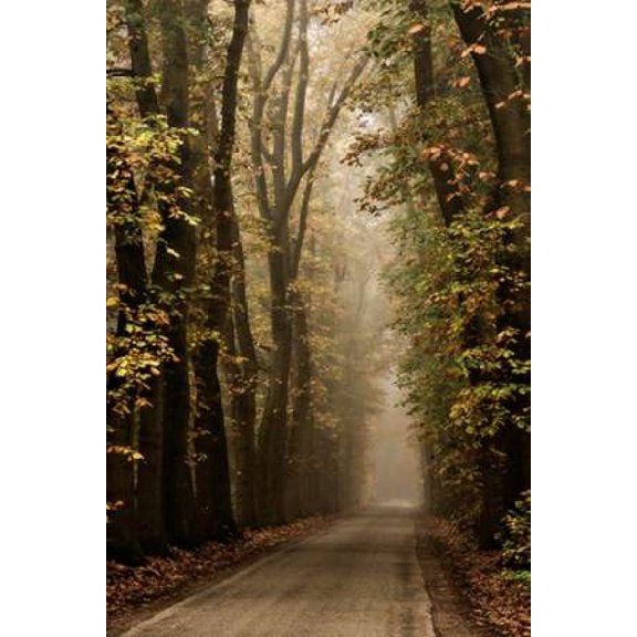 Folia Canvas Art - Lars Van de Goor (12 x 18)