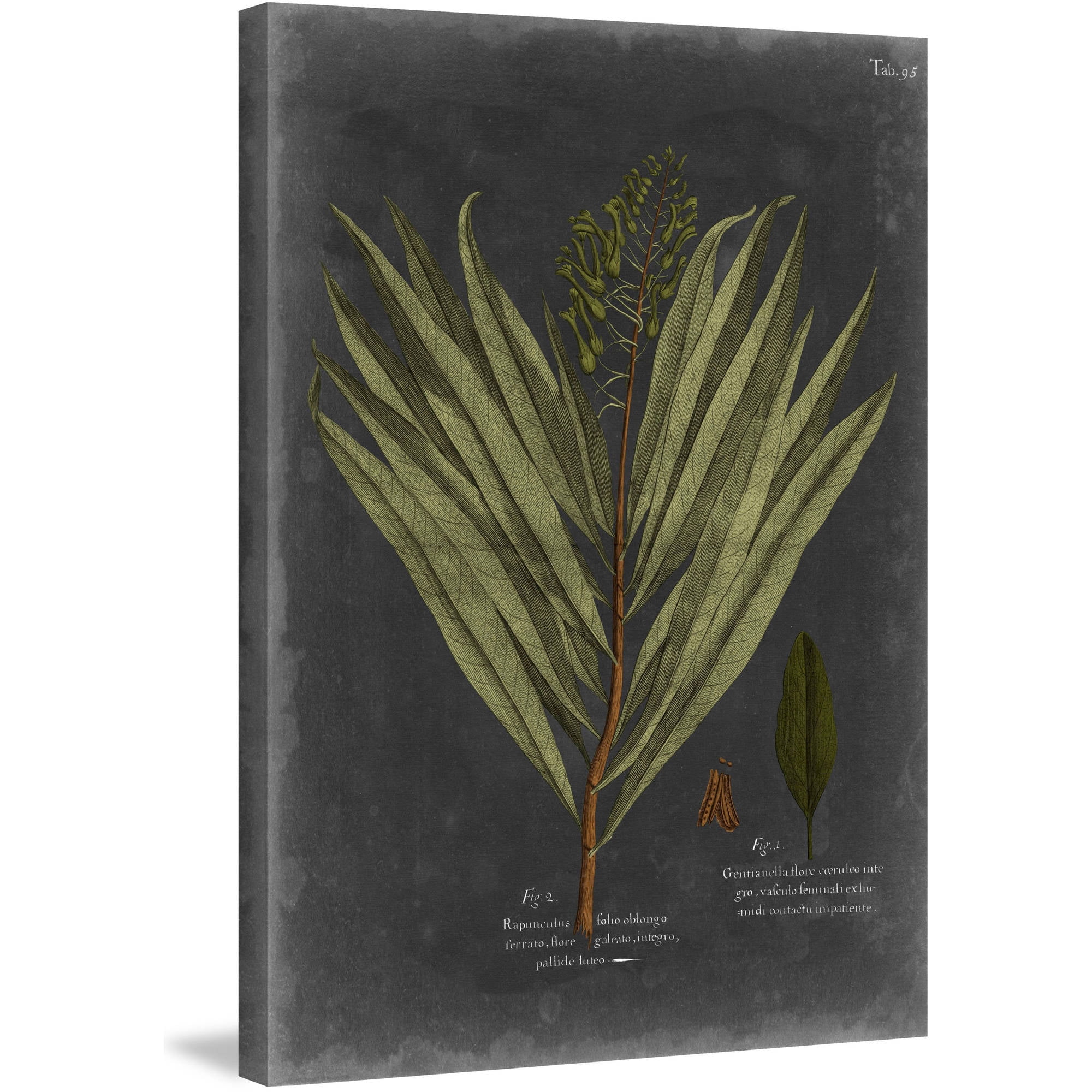 "Foliage Dramatique II" Painting Print on Wrapped Canvas