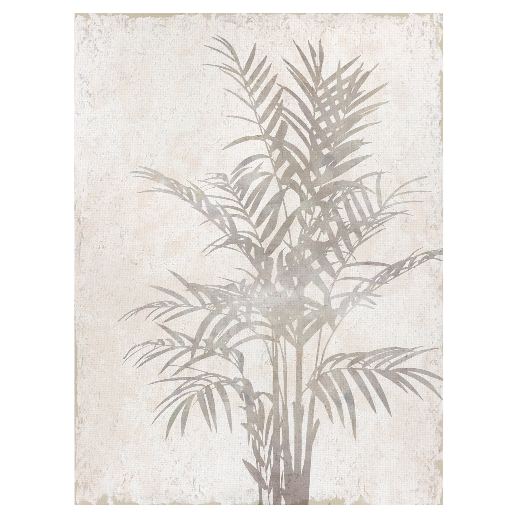 Foliage Shadow by Tania Bello Canvas Art Print