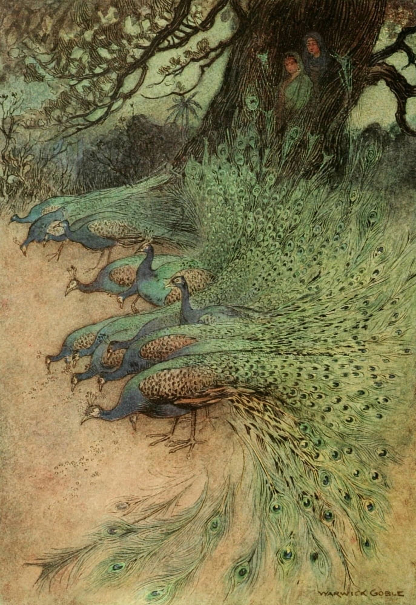 Folk Tales of Bengal 1912 Hundreds of peacocks Canvas Art - Warwick Goble (18 x 24)
