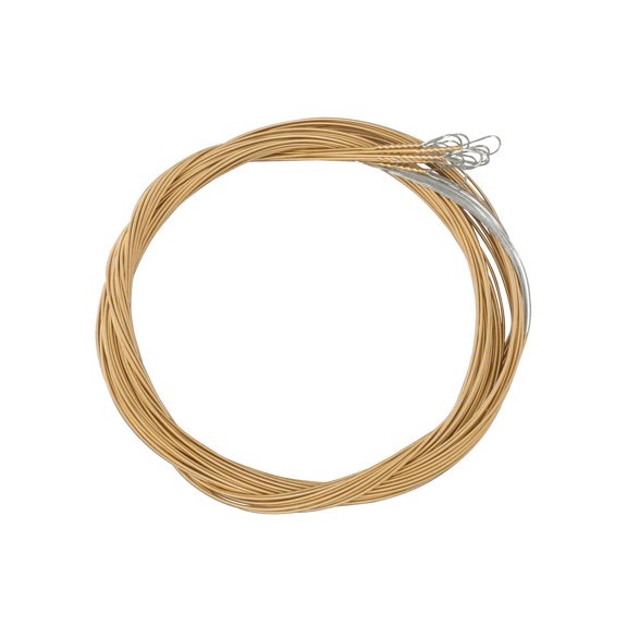 Folkcraft Bronze Wound Strings, Loop Ends, Pack Of Twelve, .022