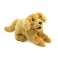 thumbnail image 1 of Folkmanis Golden Retriever Puppy Hand Puppet, 1 of 3