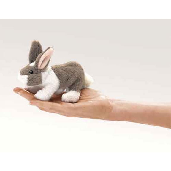 Mini Bunny Rabbit