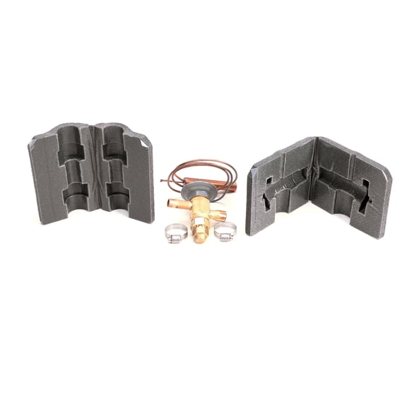 Follett 00977579 Expansion Thermal Valve