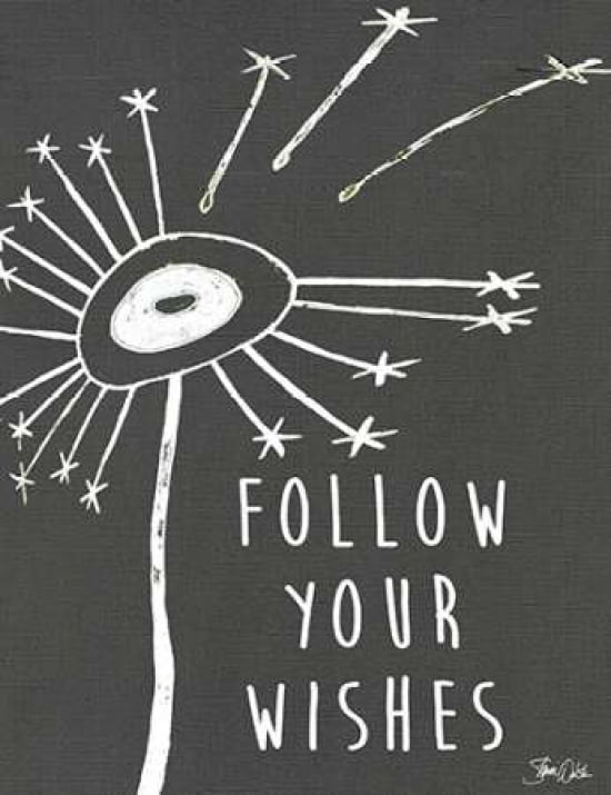 Follow Your Wishes Canvas Art - Shanni Welsh (22 x 28)