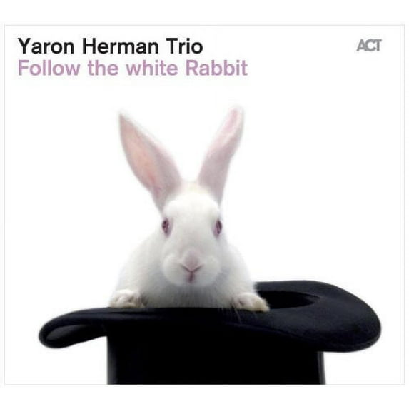 Follow the White Rabbit