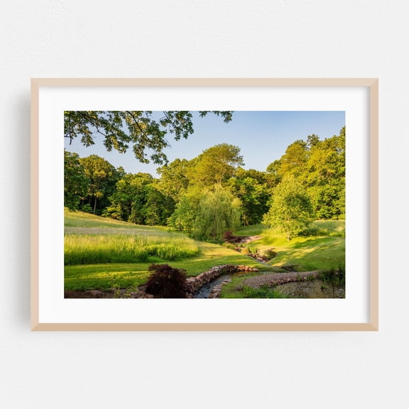Following the Brook York PA - Pennsylvania Photography Nature Landscape Forest Scenic Garden Pastoral Summer Oak Framed Wall Art Print 16 x 24 inches