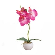 Fomlatr1 Simulated Plant Bonsai Indoor Butterfly Orchid Bonsai Plants Elegance Tranquilit