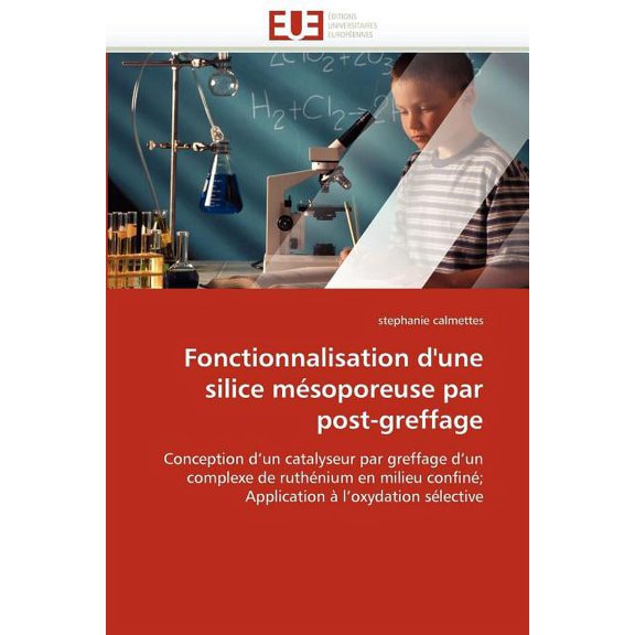 Omn.Univ.Europ.: Fonctionnalisation d''une Silice Msoporeuse Par Post-Greffage (Paperback)