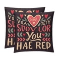 thumbnail image 1 of Font Set with Unique CoversPatterns - 2 Pack Decorative Pillows for Bed - Includes Pillow Inserts - Available in 16x16, 18x18, 20x20 Inches for Any Occasion, 1 of 6