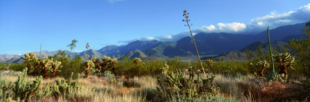 Fonts Point Anza-Borrego Desert State Park California Canvas Art - Panoramic Images (36 x 12)