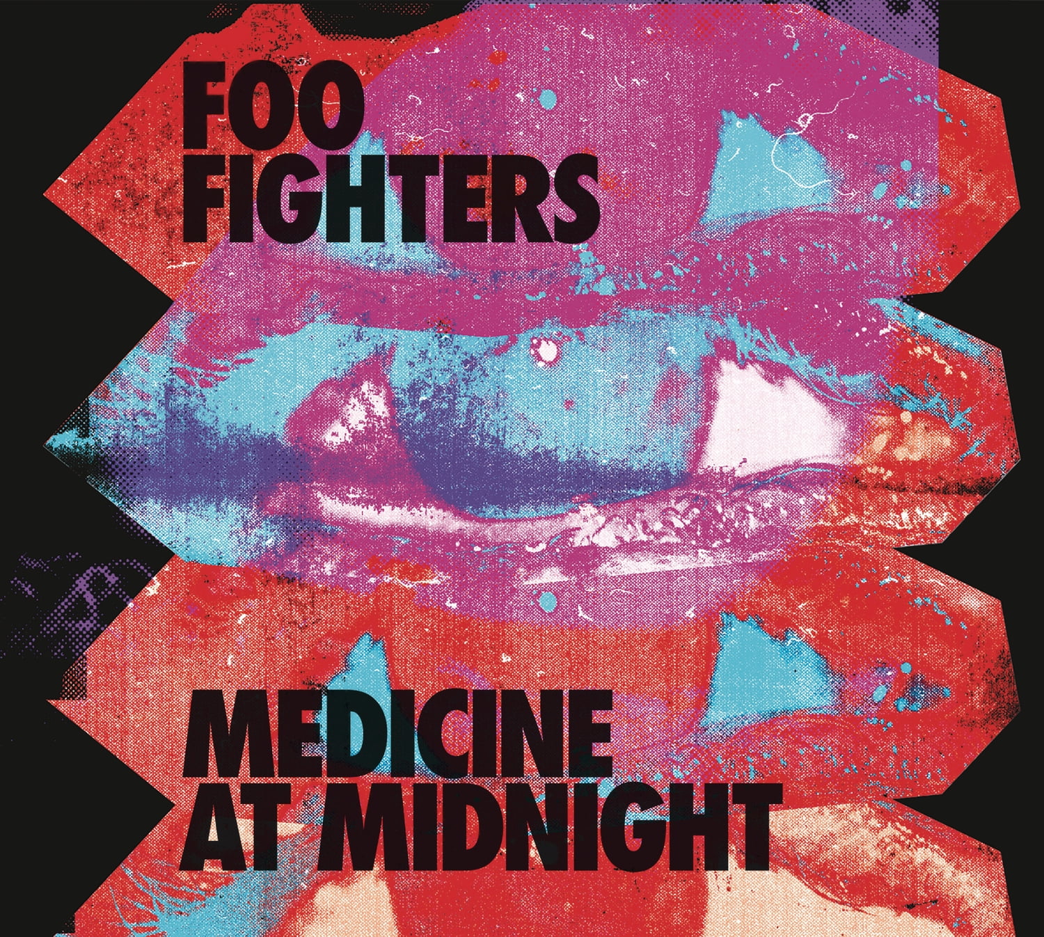 Foo Fighters Music - Walmart.com