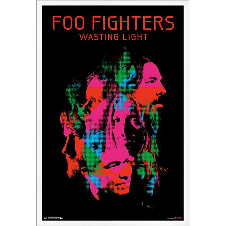 - Wasting Light Poster -