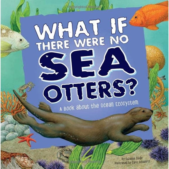 Pre-Owned What If There Were No Sea Otters?: A Book about the Ocean Ecosystem (Paperback) 1404863974 9781404863972