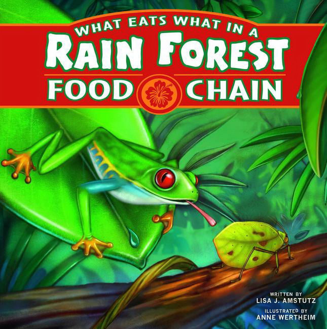 Food Chains What Eats What in a Rain Forest Food Chain (Hardcover