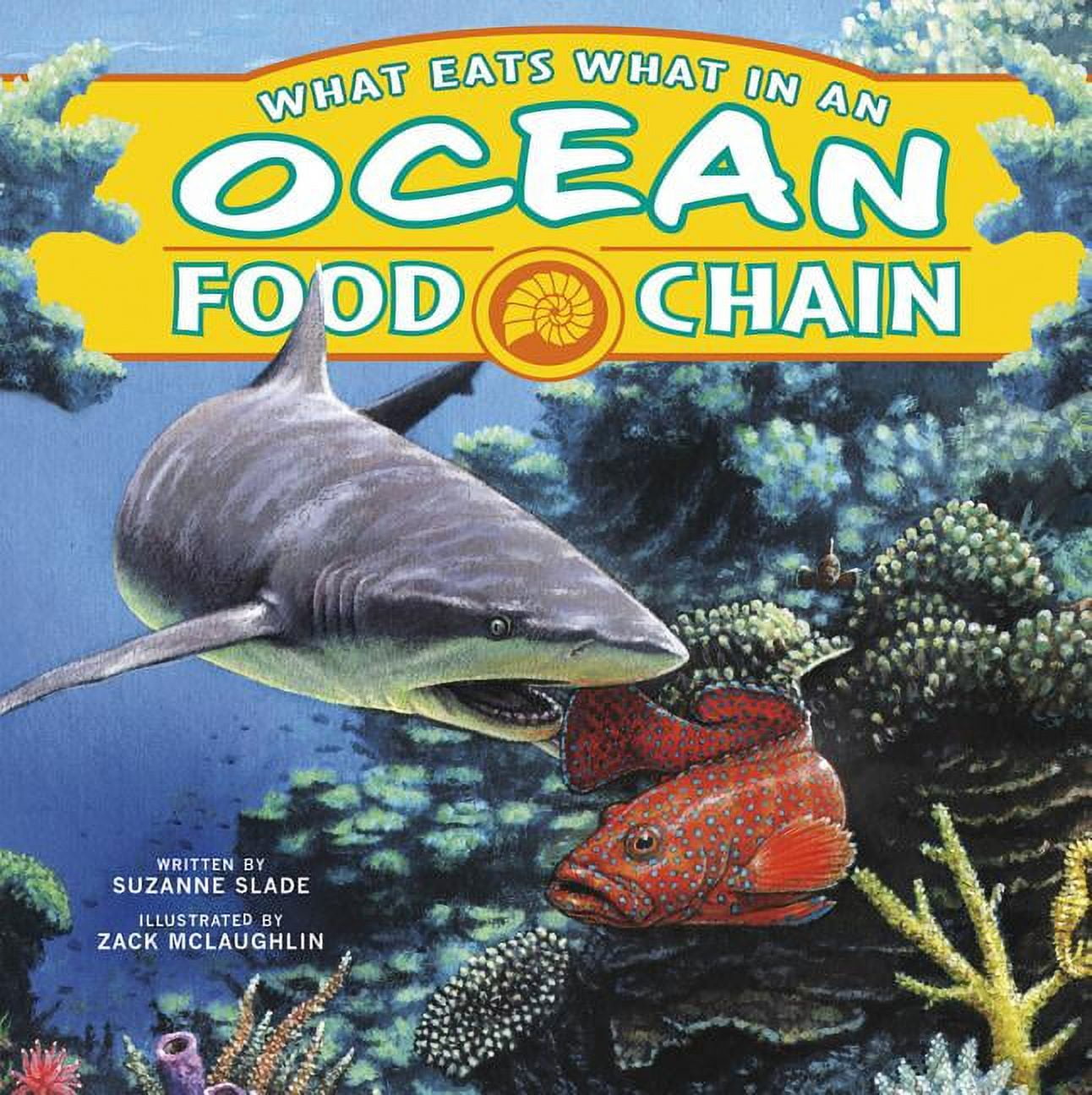 Food Chains: What Eats What in an Ocean Food Chain (Paperback ... Biology Diagrams