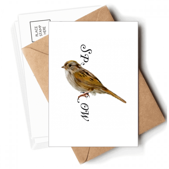 Food Companions Sparrows Birds Postcards Envelopes Blank Note Cards Mailing