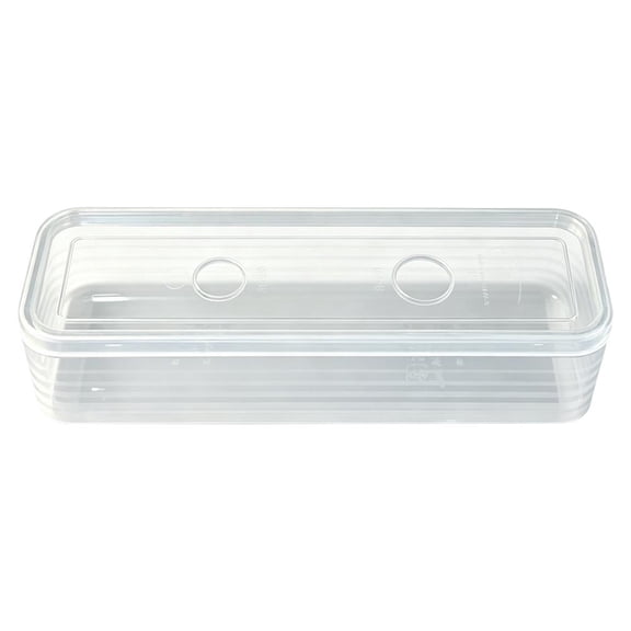 Food Grade Long Rectangular Storage Box Seal Container, Long Plastic Food Storage Container with Lid for Scallions, Cilantro, Green Onions for Kitchen Pantries And Fridge Organization - Color B