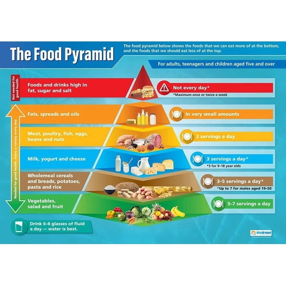 Food Pyramid Science Poster Unframed12x18inch(30x45cm) - Walmart.com