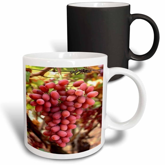3drose, Food Red Grapes Fresh Vineyard, 11oz Magic Transforming Mug
