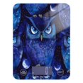 thumbnail image 1 of Food Scale Small Food Scale Kitchen Scale Kitchen Electronic Scale Multifunctional Digital Kitchen Scale Baking and Cooking Scale Cute Blue Owl, 1 of 7