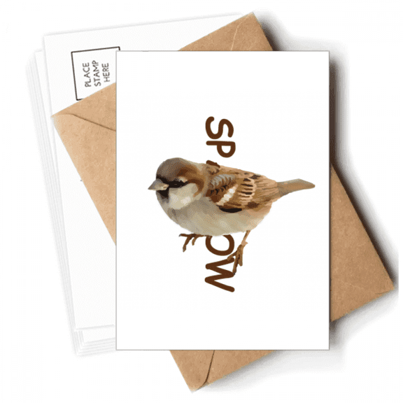 Food Search Sparrows Birds Postcards Envelopes Blank Note Cards Mailing